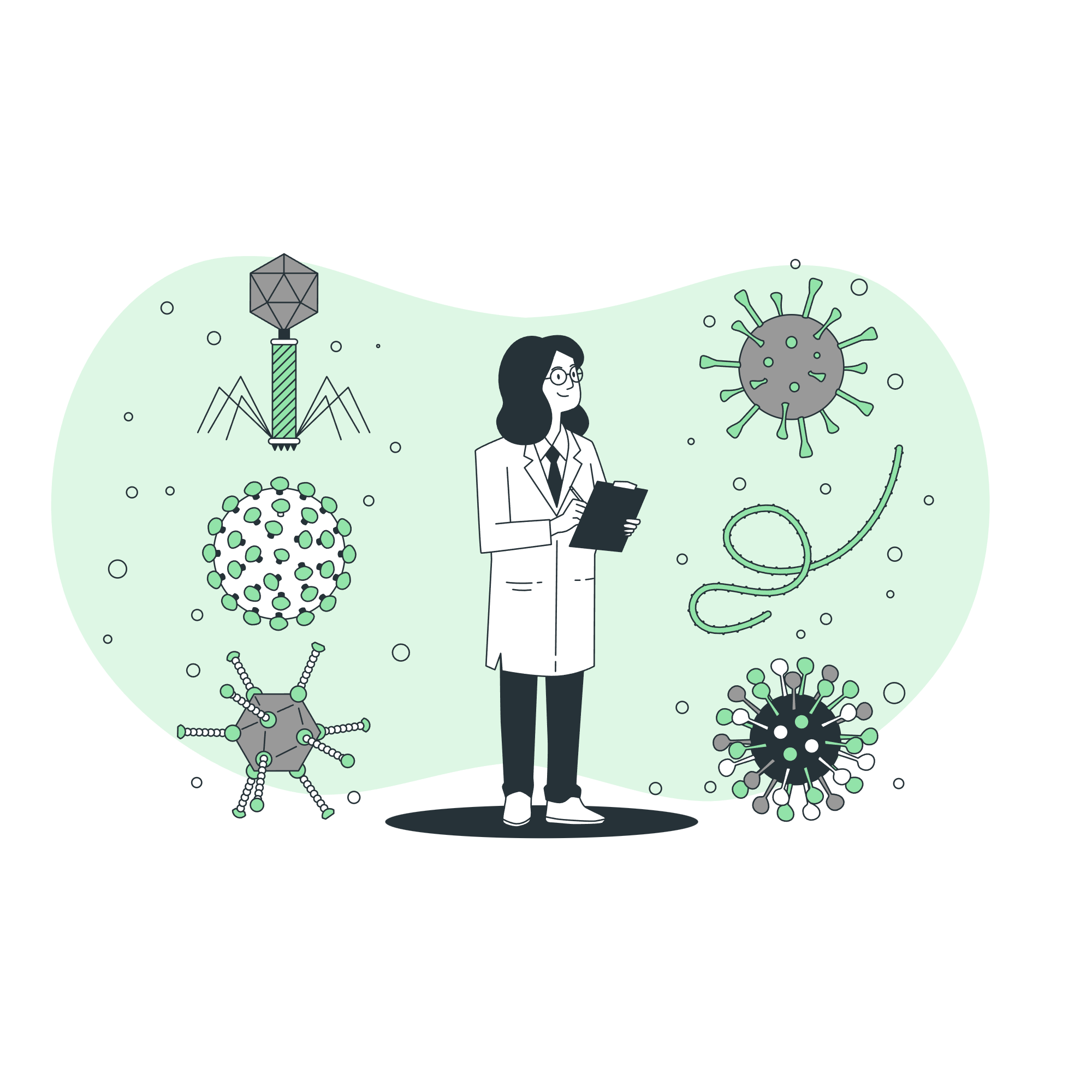 Deployment & Continuous Improvement